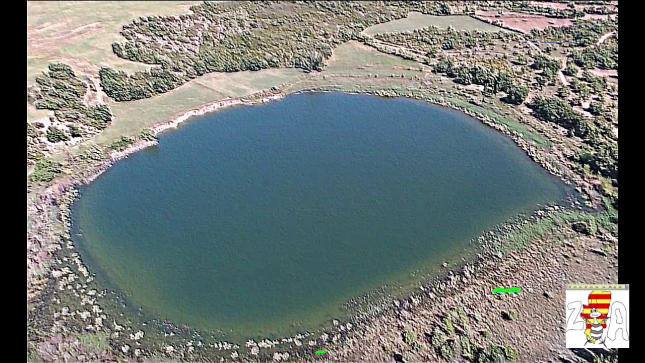ZpA Estopiñan Lagos Estaña