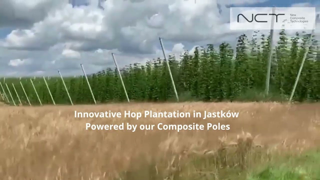 Innowacyjna plantacja chmielu 