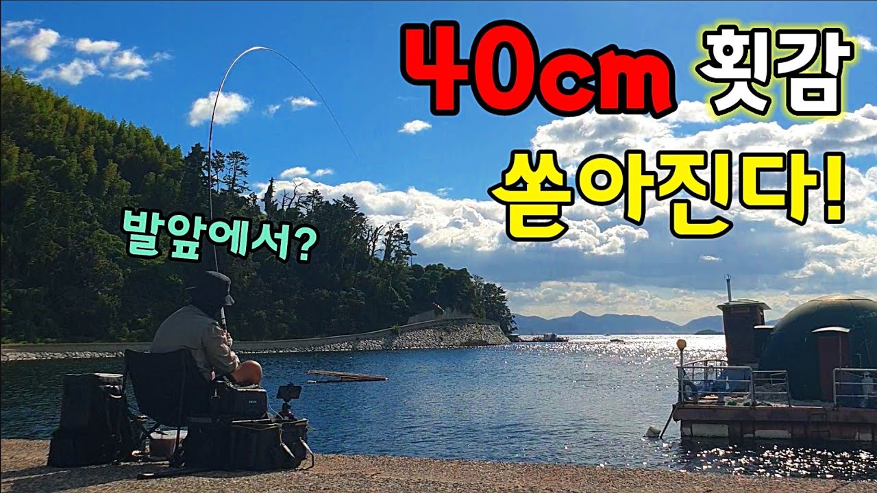 발앞에서 감당하기 힘든 녀석들이 나온다/잡자마자 바로먹는 자급자족 차박여행/그림같은 포인트/힐링여행