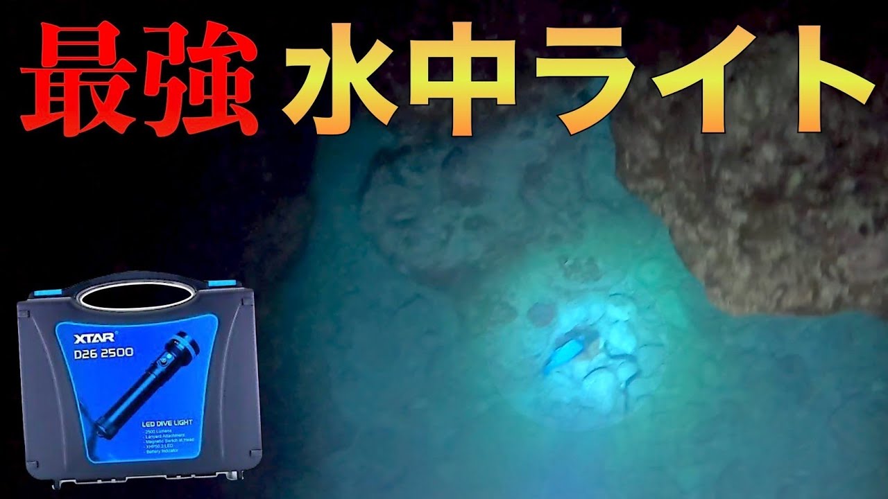 ついに登場！魚突き漁師納得の超強力水中ライトがこちらです。