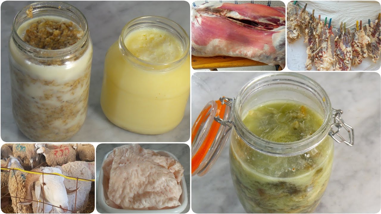 كوني فحلة😉👌🏻ديري العولة💰عمري بيت الخزين🤑السبك بشحمة الكلوة😁القديد👏🏻خليع الزير👍🏻كيفاش تغسلي الهيدورة🐏