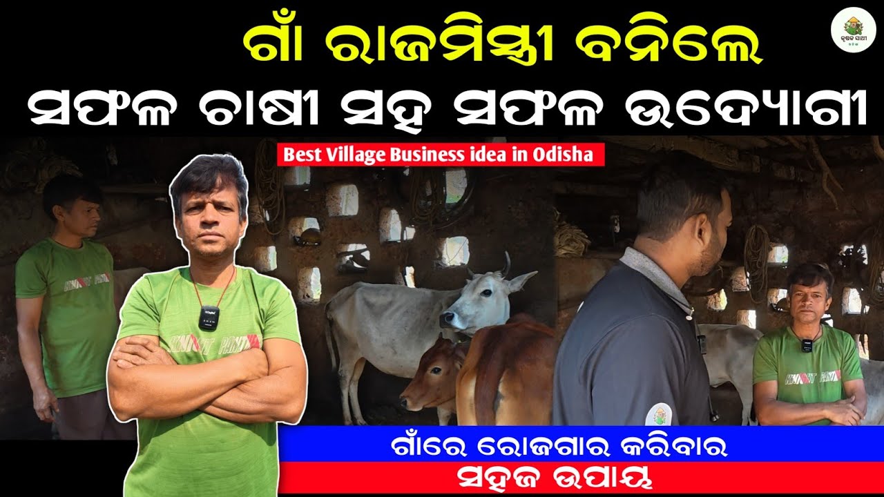 ଗାଁ ରାଜମିସ୍ତ୍ରୀ ଏବେ ସଫଳ ଉଦ୍ୟୋଗୀ From Village Business to 🐓Poultry & 🐐Goat Farm|Krushak sathi odisha 