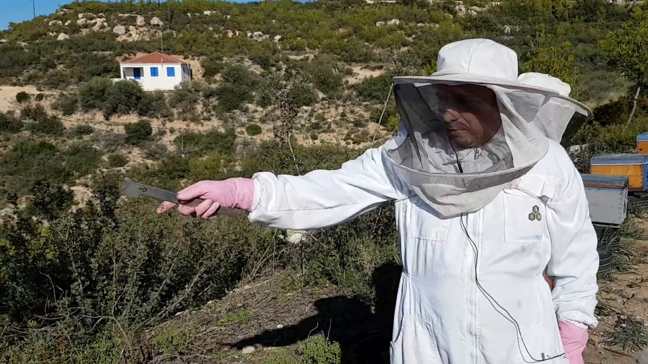 Τα μυστικά του καλού ξεχειμωνιάσματος