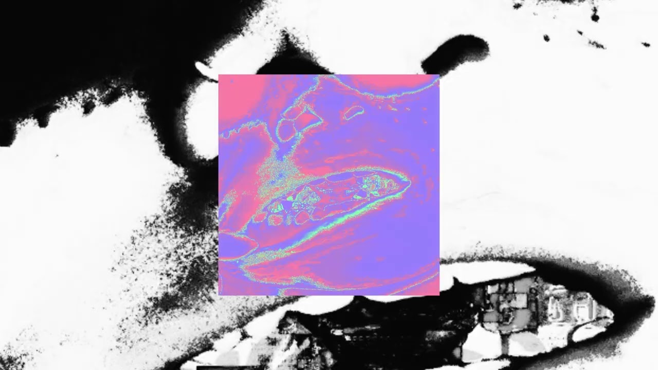 4SCO -  Chico Migraña (EN VENTA)