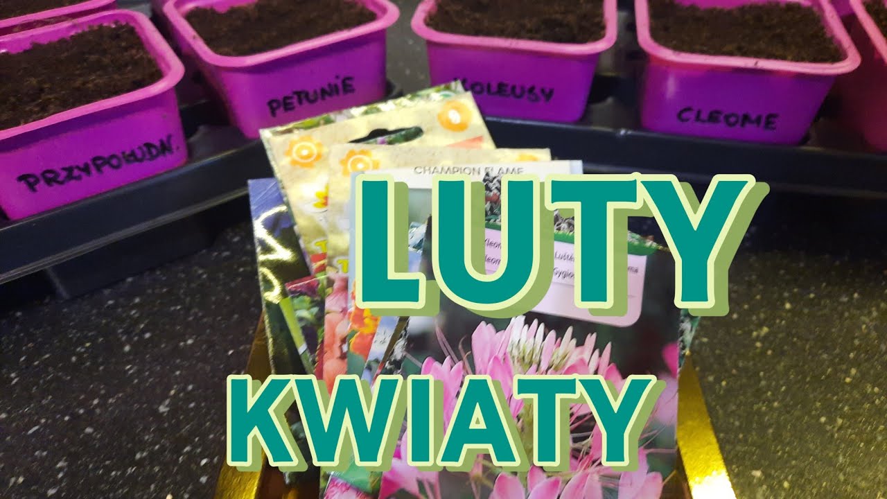 WYSIEWY W LUTYM 🌱 JAKIE KWIATY WYBRAŁAM DO OGRODU. 