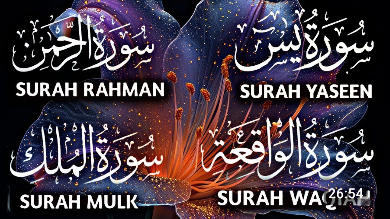 Surah Yaseen | Surah Rahman | Surah Mulk | Surah Waqiah | Beautiful Quran Recitation Ep143