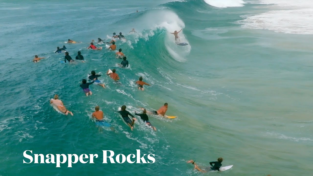 Snapper Fires Up - Monday 17 February 2025