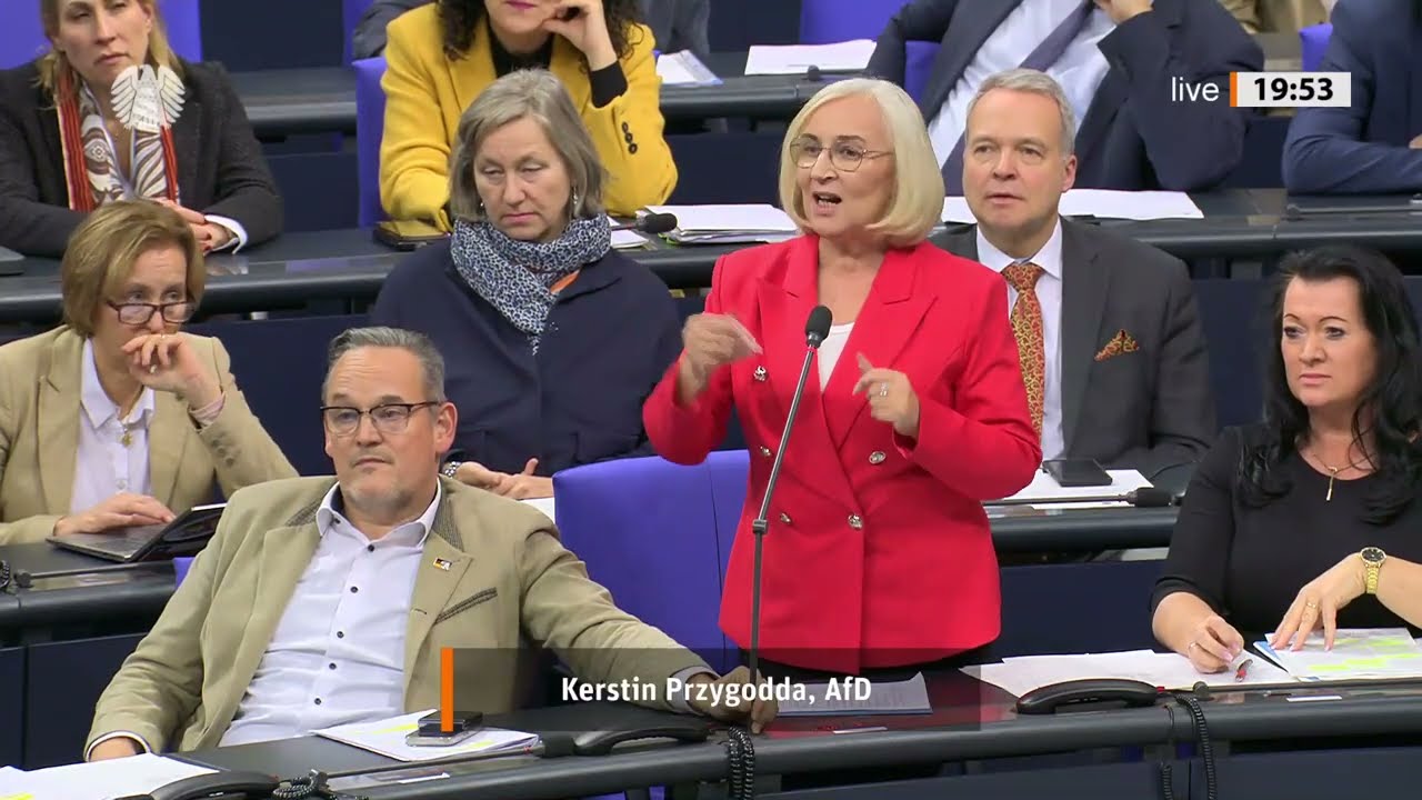 Umsetzung der Istanbul-Konvention zum Schutz von Frauen vor Gewalt