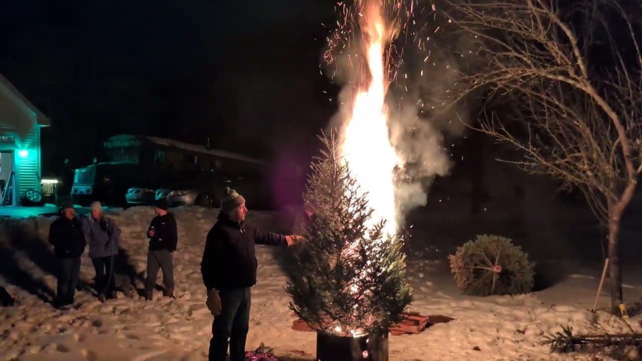 Mystery Tree (Contributer unknown) - Jan 10, 2026