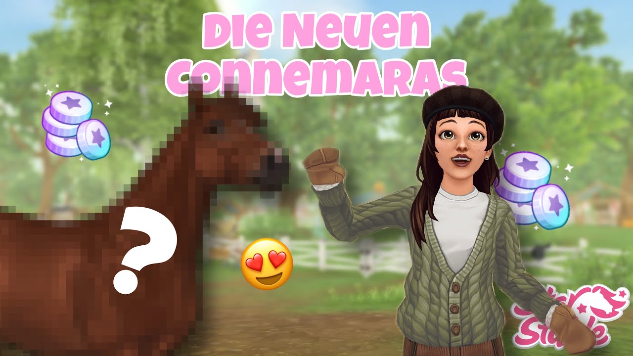 PFERDEKAUF (Die neuen Connemaras)!! 👀🐴😍