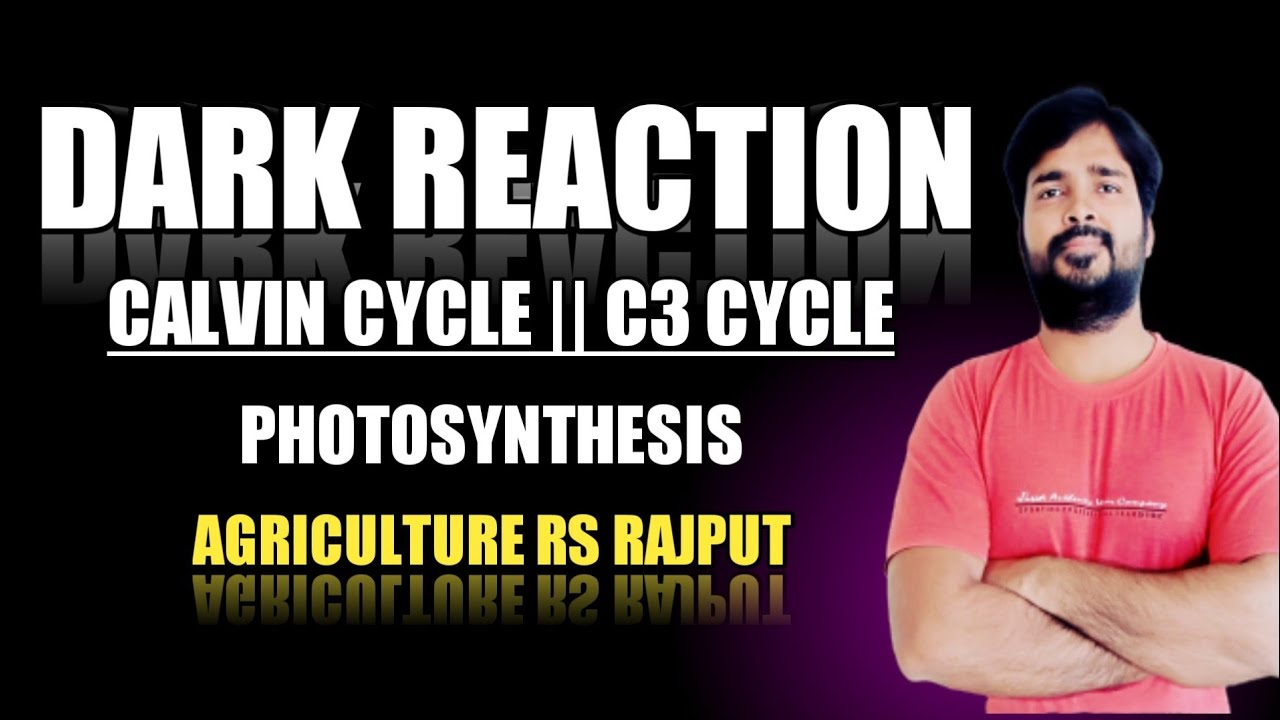 Dark Reaction | Calvin Cycle | C3 Cycle | Photosynthesis | Plant Physiology | Agriculture