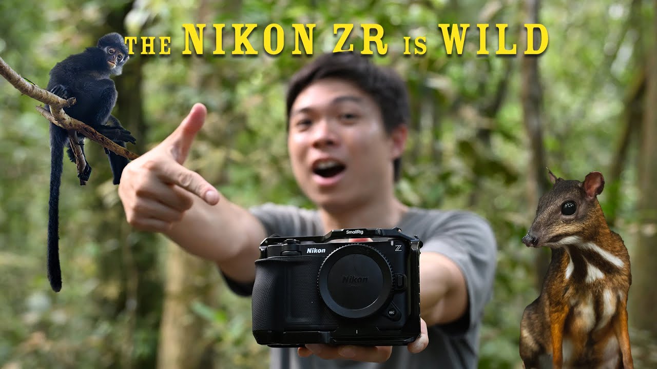 NIKON ZR для дикой природы — реальный обзор