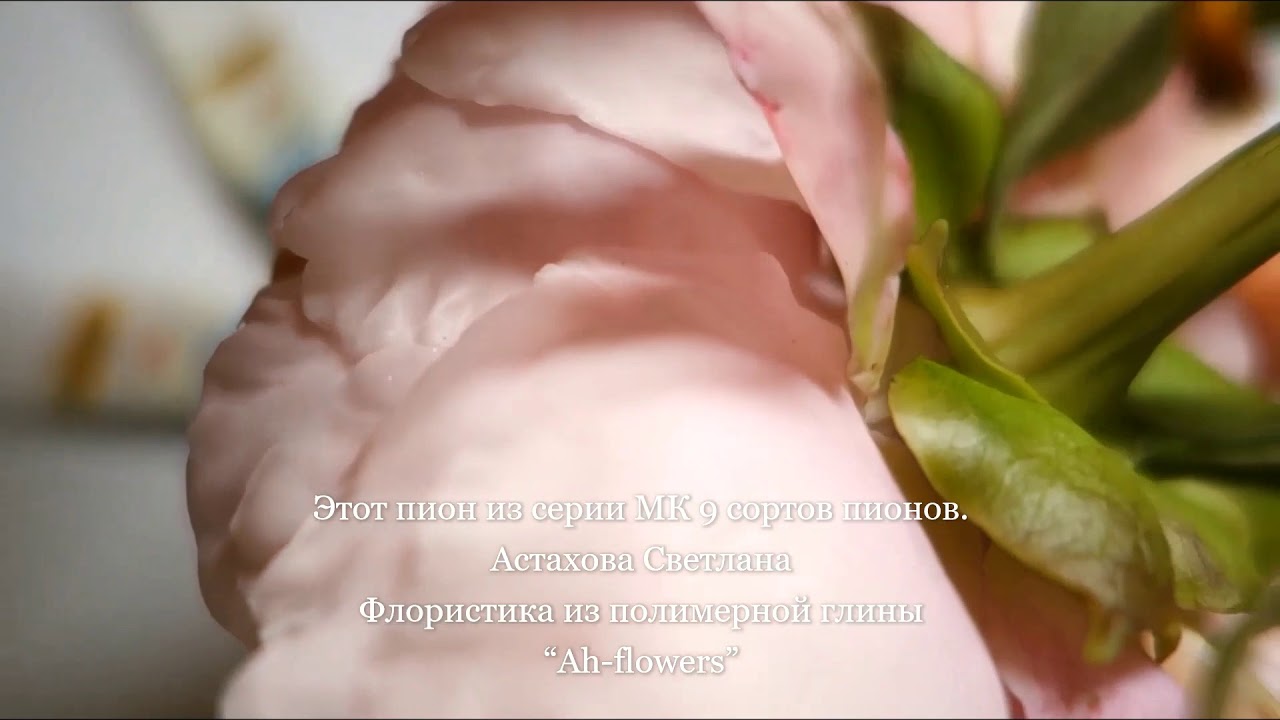 Мастер-класс Пион Сьюзи Кью Флористическая глина (холодный фарфор)