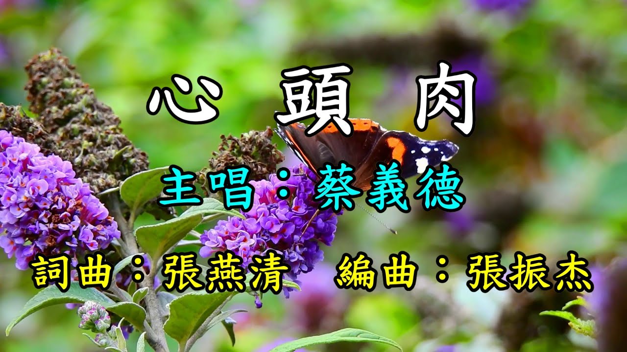 心頭肉--蔡義德   歌詞網