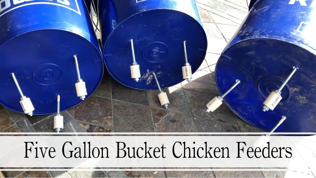 Making Five Gallon Bucket Chicken Feeders That Are RAT proof!