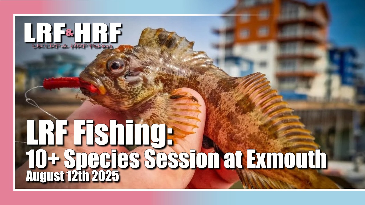 LRF Fishing: 10+ Species Session at Exmouth