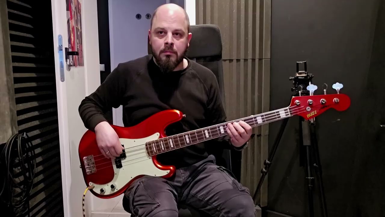 BUZZ Hornet Thumpy Funky Bass Sound on Flatwounds