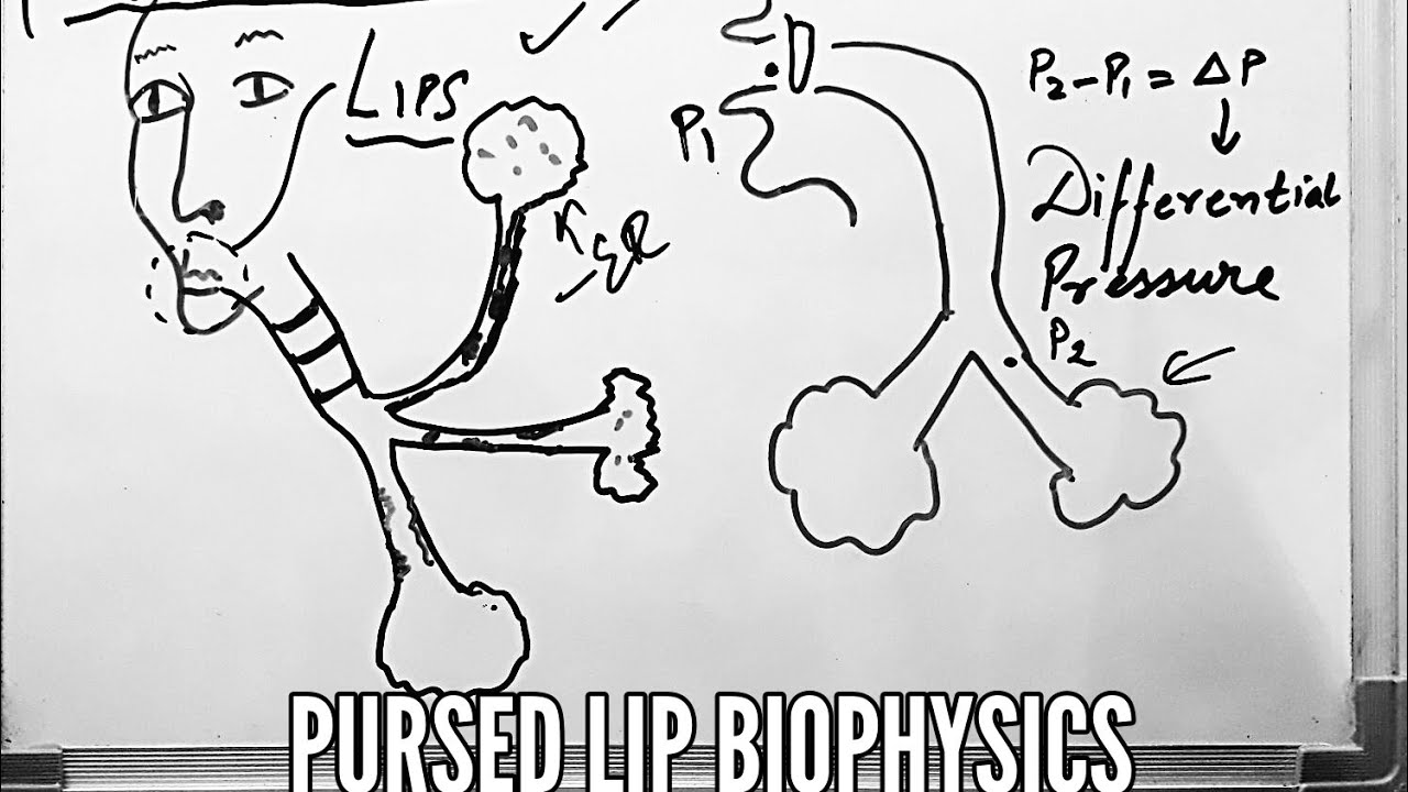 Clinical Pearl - COPD - Mechanism of Pursed Lip Breathing