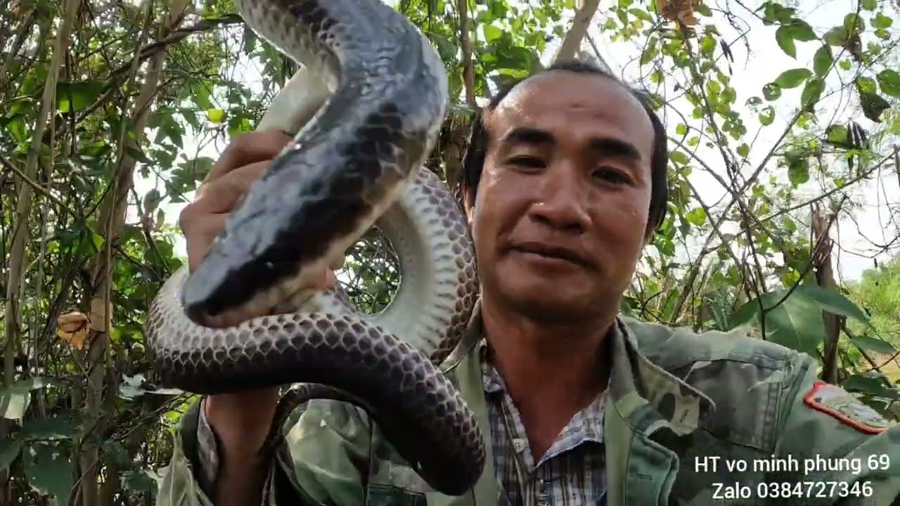 Chinh phạt rừng già sức hủy diệt mùa khô tập 69