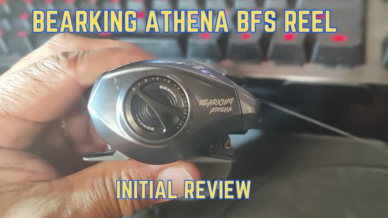 Bearking Athena BFS Reel Initial Review