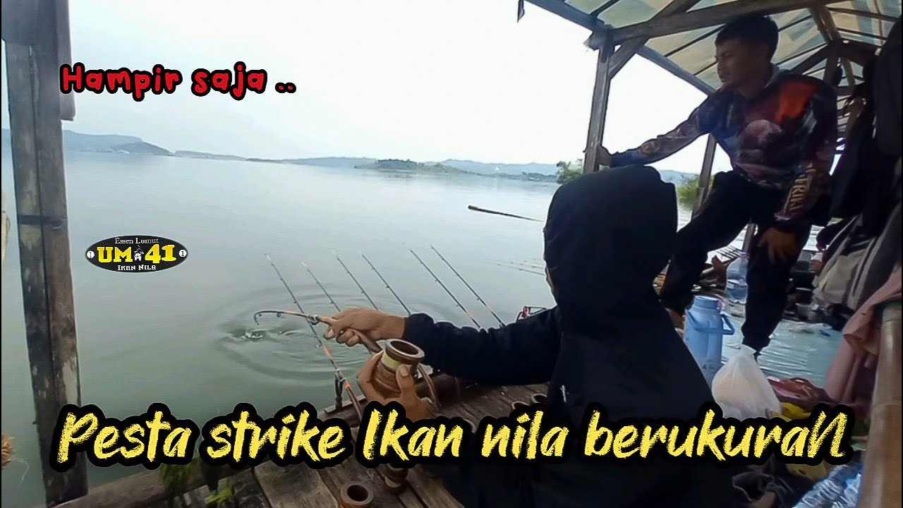 Kejadian yang tidak di harapkan para pemancing, Hampir saja pesta Strike | Mancing jatigede terbaru