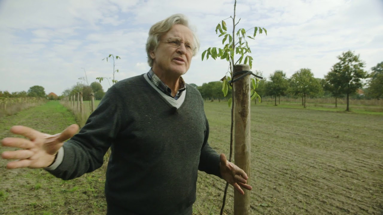 Op weg naar Agroforestry   Kwaalburgse Hoeve