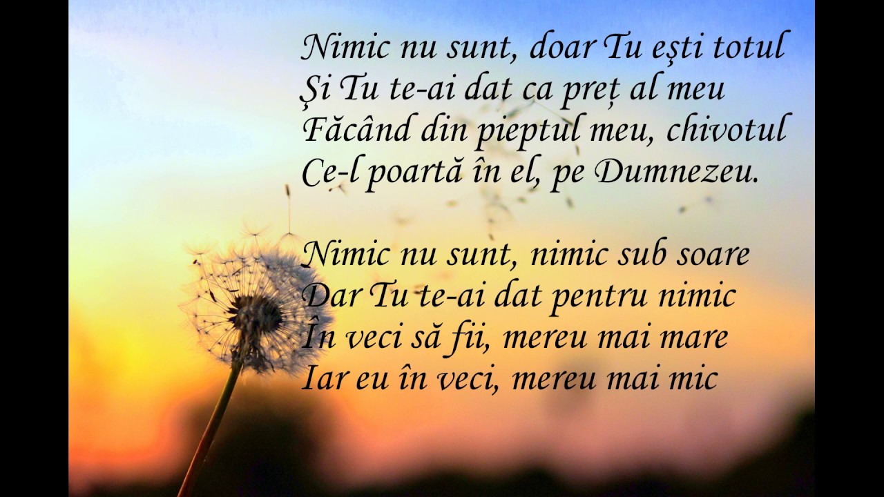 Vali Pentea Sava - Nimic nu sunt, un strop de tină
