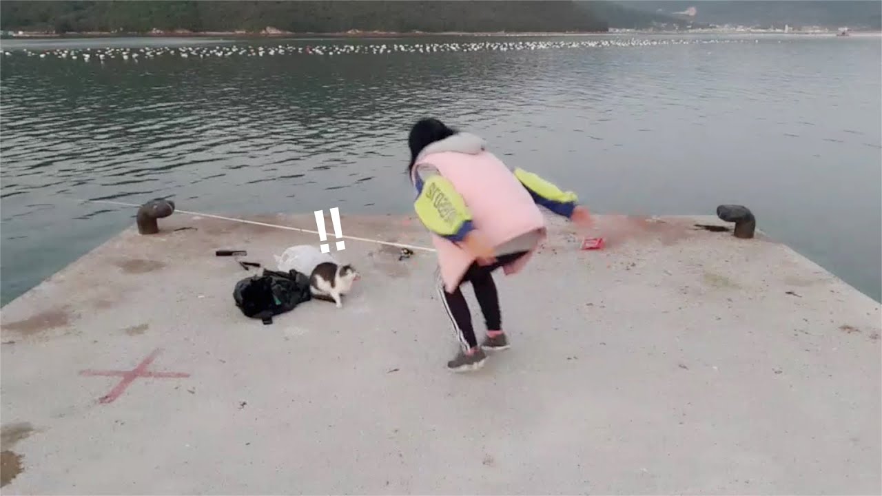 거제도 꿀잼 낚시 방해하는 고양이 참교육하겠습니다. fishing aing2 [여자 낚시꾼 아잉2]
