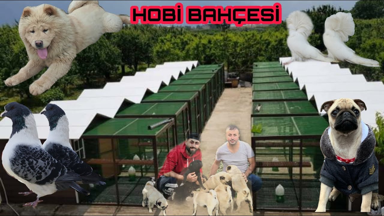 HOBİ BAHÇESİ TANITIM VİDEOSU