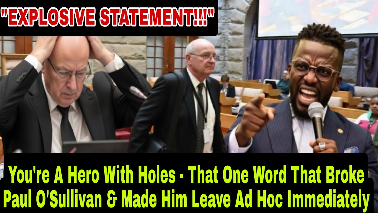 YOU ARE A HERO WITH HOLES - That One Word That Broke Paul O'Sullivan & Made Him Leave Ad Hoc Hearing