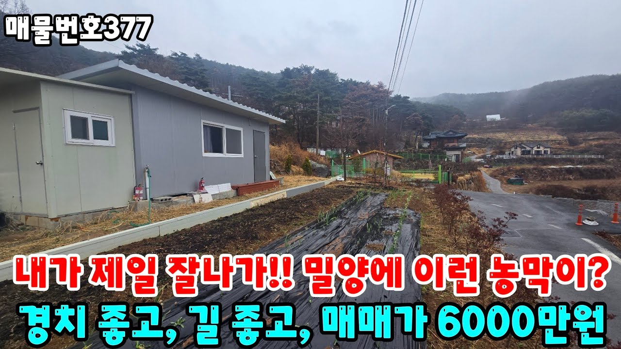 [매물번호377]밀양전원주택매매, 내가 제일 잘나가!! 밀양에 이런 농막이? 경치좋고, 길좋고, 매매가 6000만원 #밀양전원주택매매 #밀양세컨하우스 #밀양부동산 #밀양농막