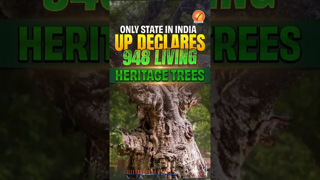 Only State in India: UP Declares 948 Living Heritage Trees