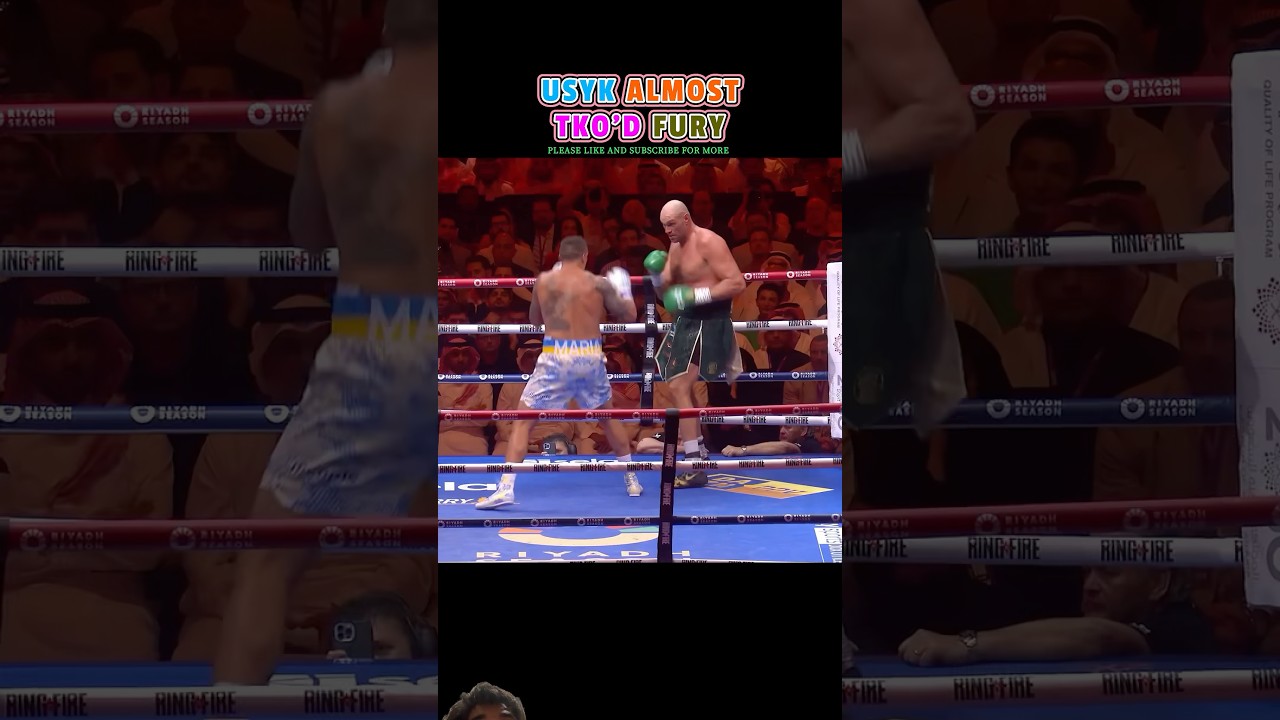 Tyson furry vs Usky 