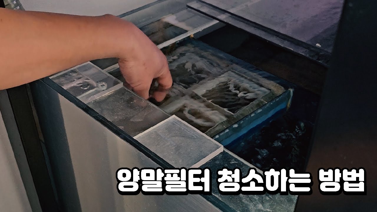양말필터를 청소해보자 😈거북이대마왕
