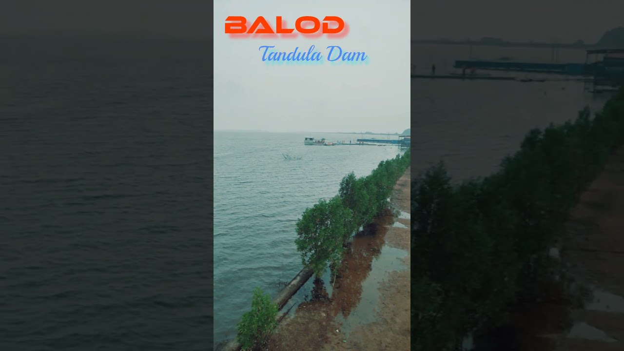 Tandula Dam #cgviral #cgshorts