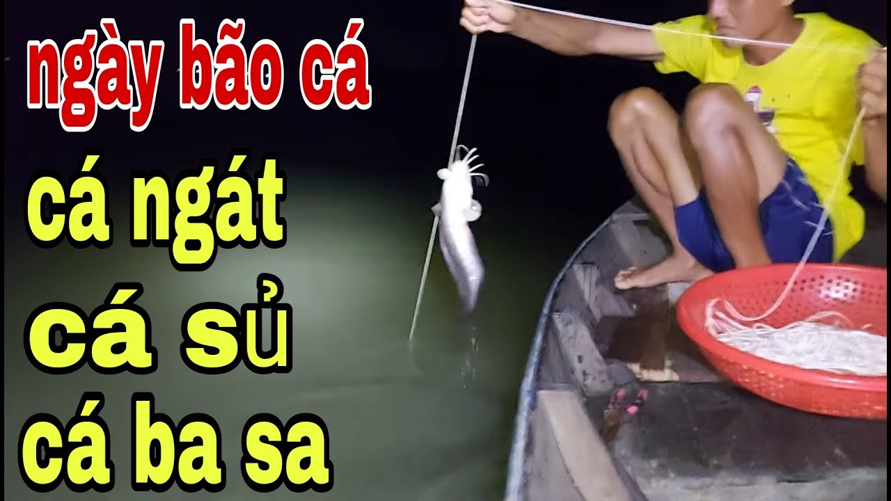 Trận Thăm Câu Giăng Vui Nhất Và Nhiều Cá Nhất Năm Là Đây , Đầy Đục Cá Luôn # SĂN BẮT ĐỒNG THÁP #
