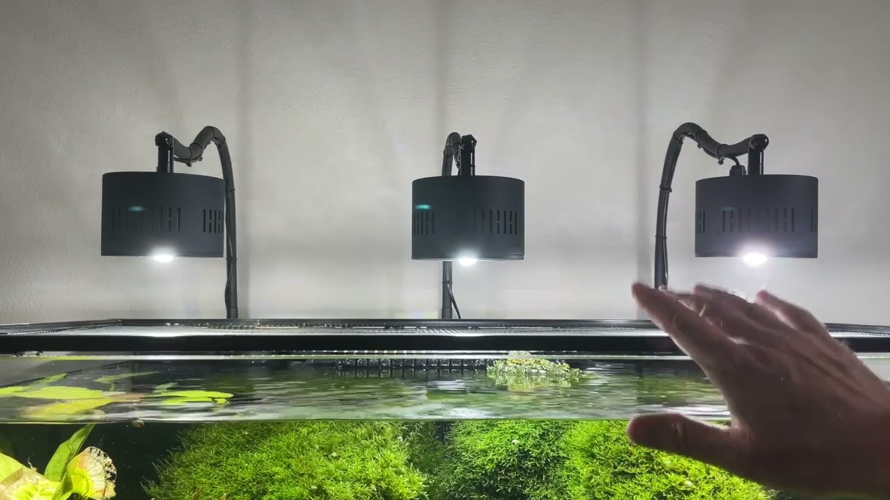 Asta-120 80w LED aquarium light update.