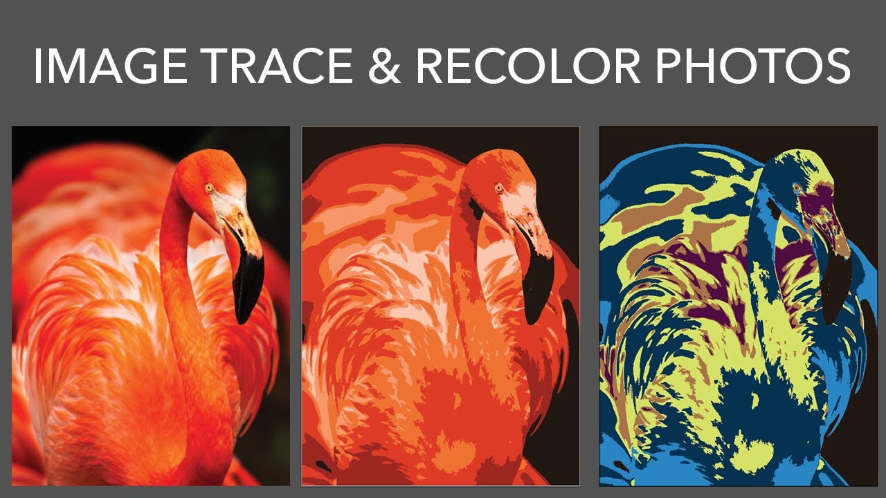 Adobe Illustrator - Image Trace a Photo and Recolor It