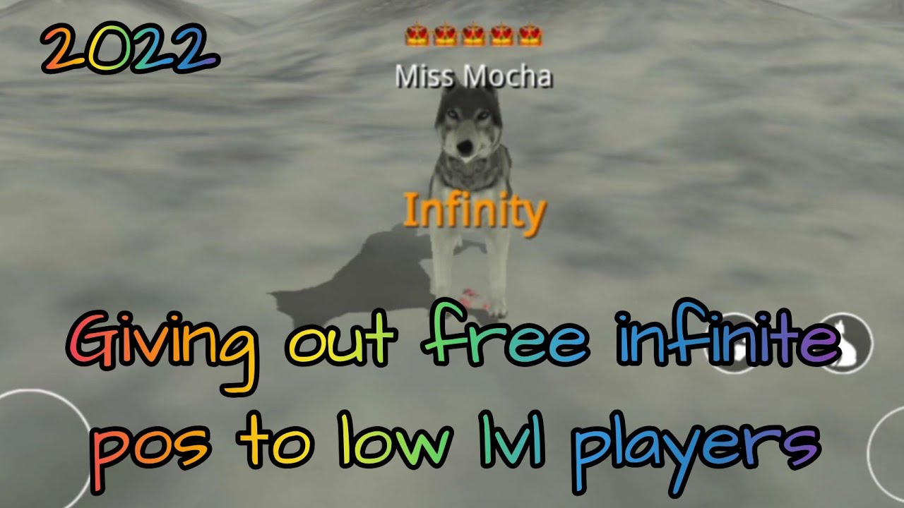 Giving Infinite pos in Wolf Online 2022