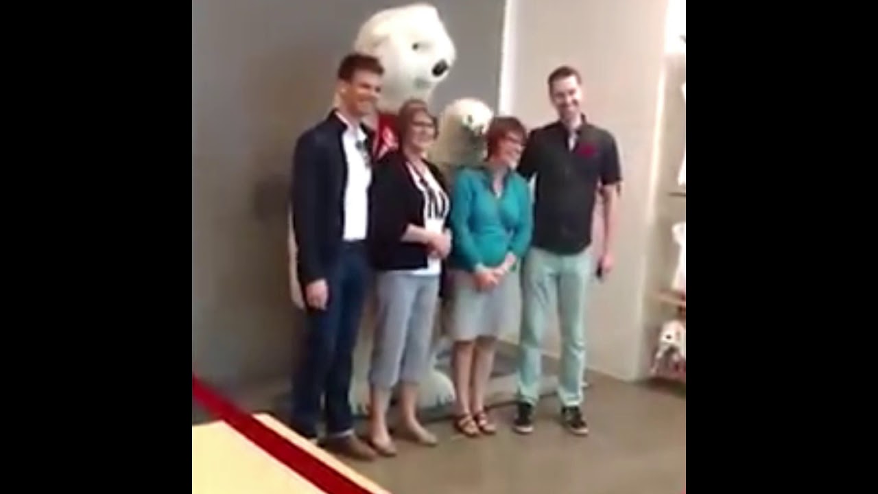 Coke bear