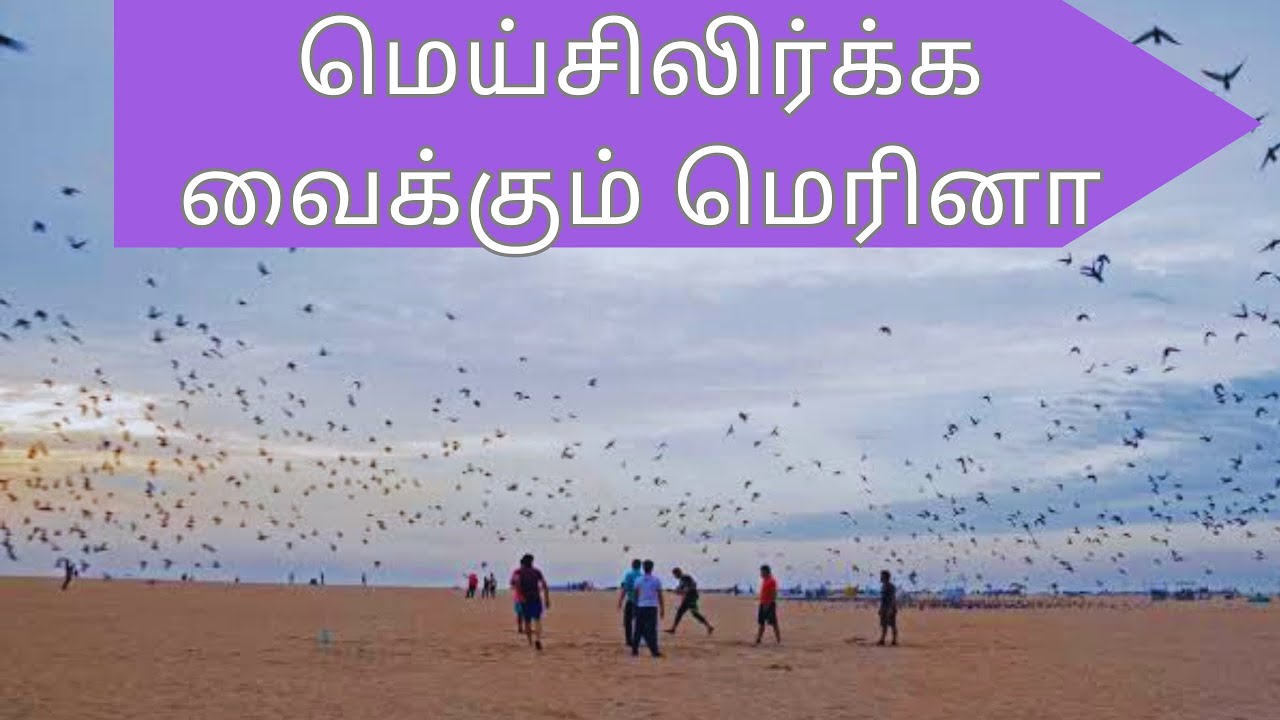 என்னபா நடக்குது marina beach ல early morning #youtube #marinabeachchennai #travelvlog #trending