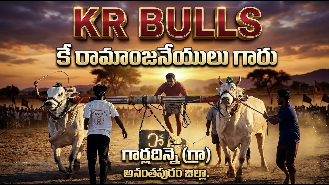🚩3.08.26 Big Yellow Seniors 4-я пара kR Bulls k Ramanjaneyulu garu