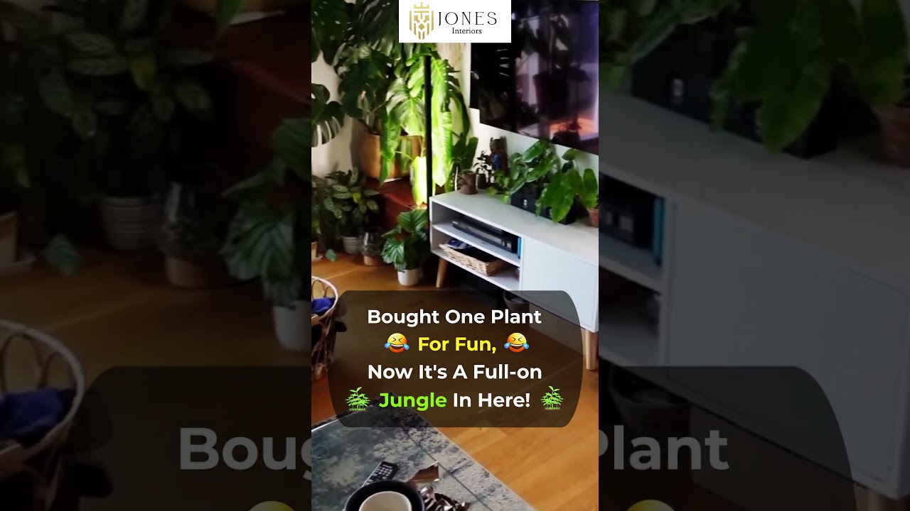 Bought one plant for fun | Jones Interiors