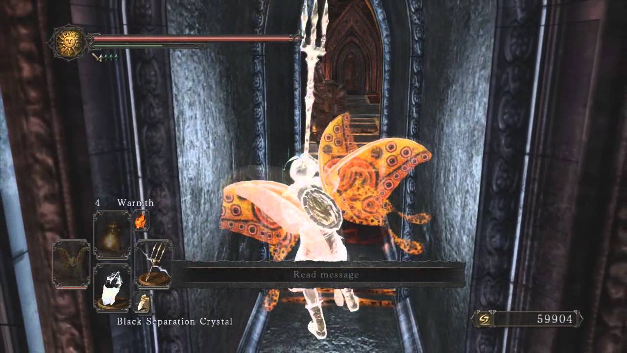 Dark Souls II - The Butterfly Effect