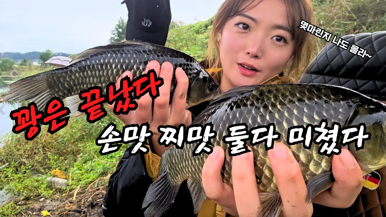 붕어낚시꾼 나래붕어 꽝은 끝났다 도대체 몇마린지 나도몰라~