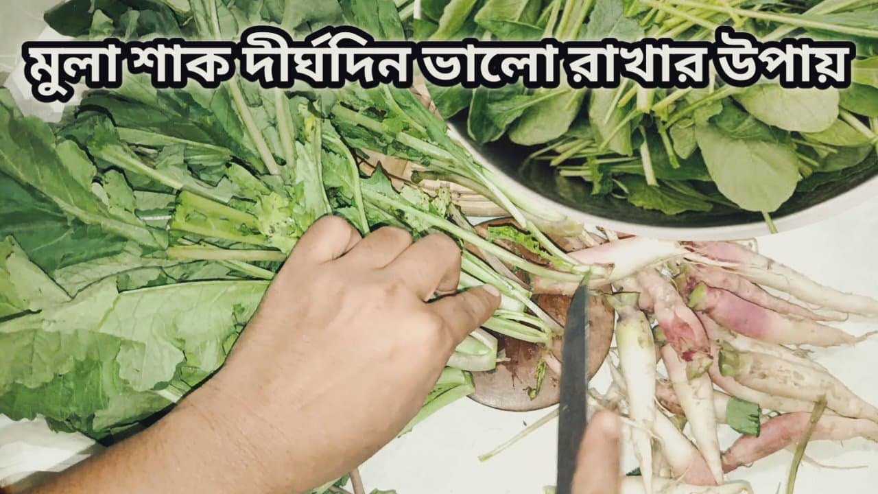মুলা শাক দীর্ঘদিন ভালো রাখার উপায় !! মুলা শাক সংরক্ষণ পদ্ধতি || মুলা শাক