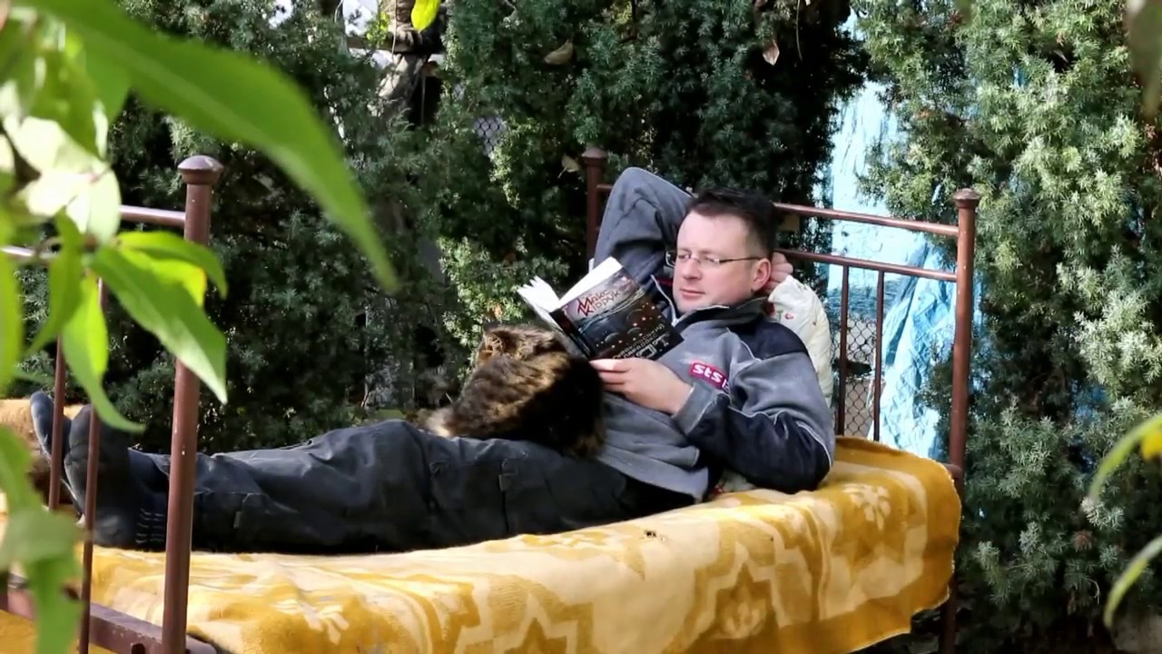 Book reading  with dogs. Funny video with many dogs