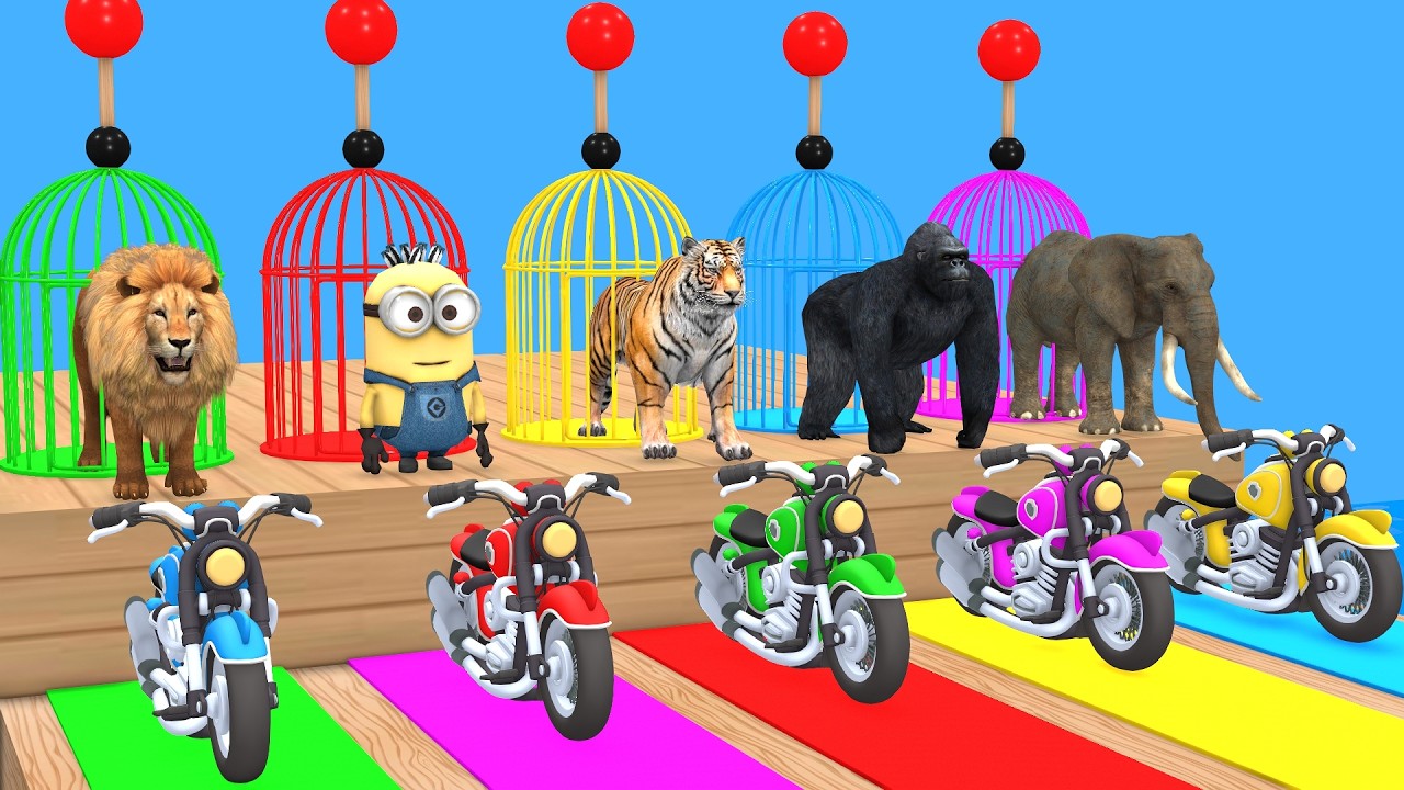 Long Slide Game with Cow Elephant Gorilla Hippopotamus Tiger 3d Animal Game Funny 3d Animals