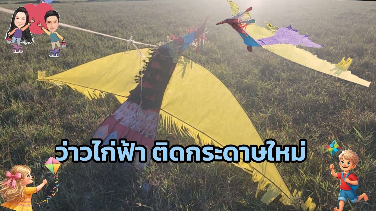 #ว่าวไก่ฟ้า 🪁ตัวเก่าติดกระดาษใหม่ #ว่าวนก #ว่าว #การละเล่น 