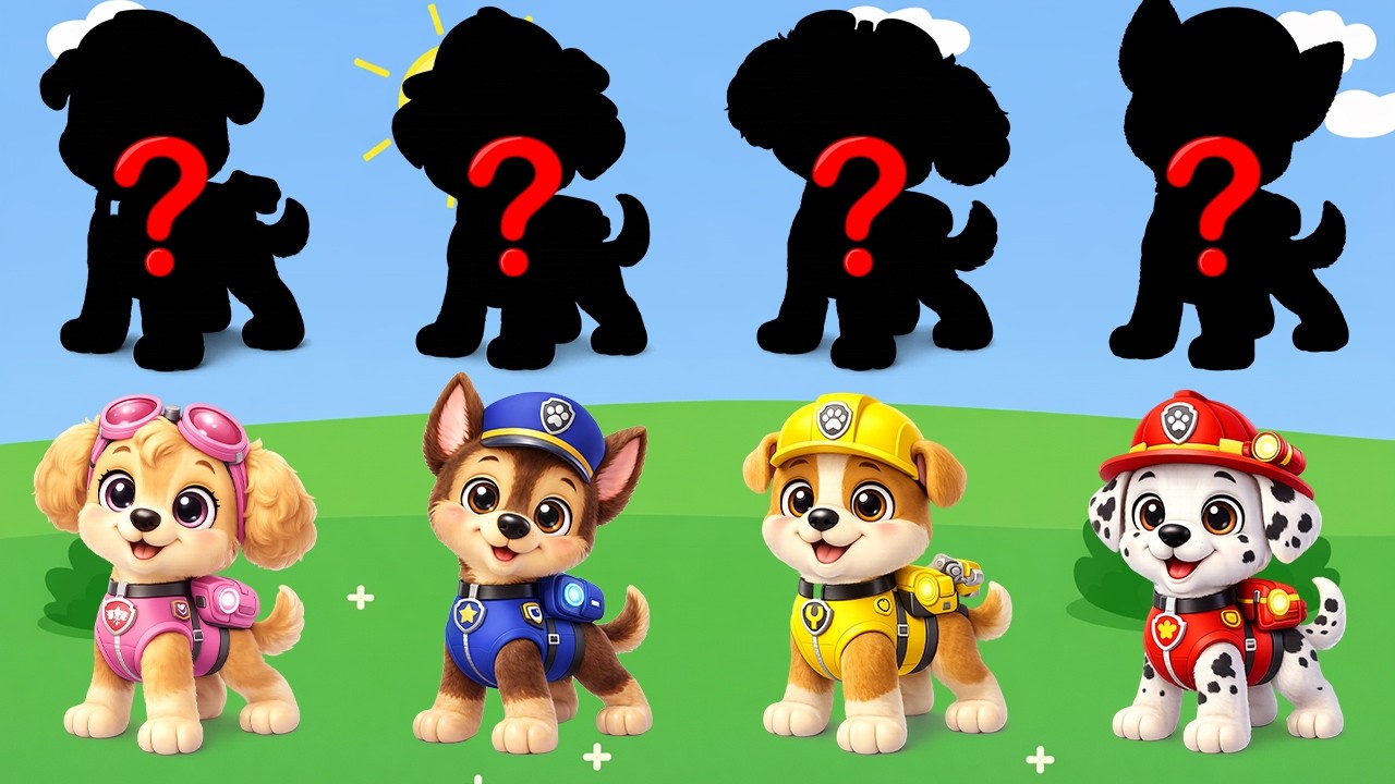Paw Patrol and Friends Learn Kids Useful Stories for Kids Cartoon Paw Patrol (Special Episode) PART3